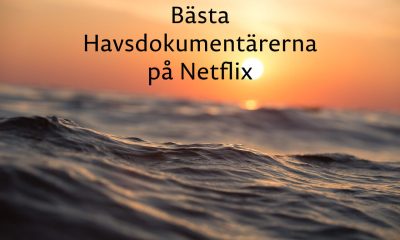 Vågor med texten: Bästa Havsdokumentärerna på Netflix